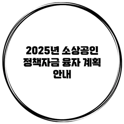 2025년 소상공인 정책자금 융자 계획 안내