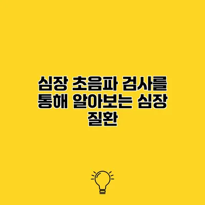 심장 초음파 검사를 통해 알아보는 심장 질환