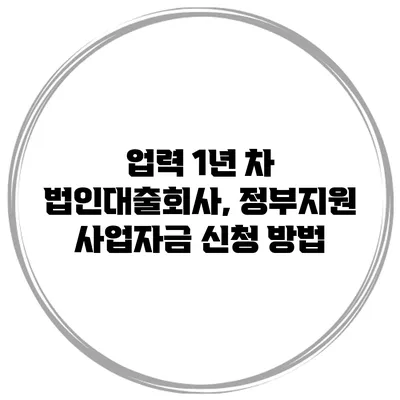 업력 1년 차 법인대출회사, 정부지원 사업자금 신청 방법